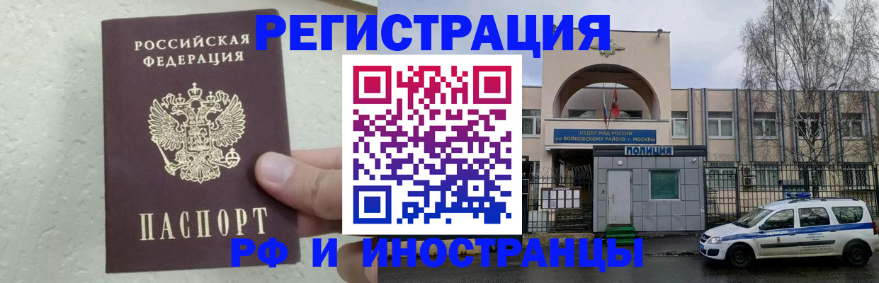 пропишу в квартире в Светлогорске